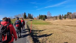Wandern im Hochmoor