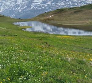 engelberg-4_original